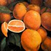 Fresh oranges - 08x08 Print on canvas